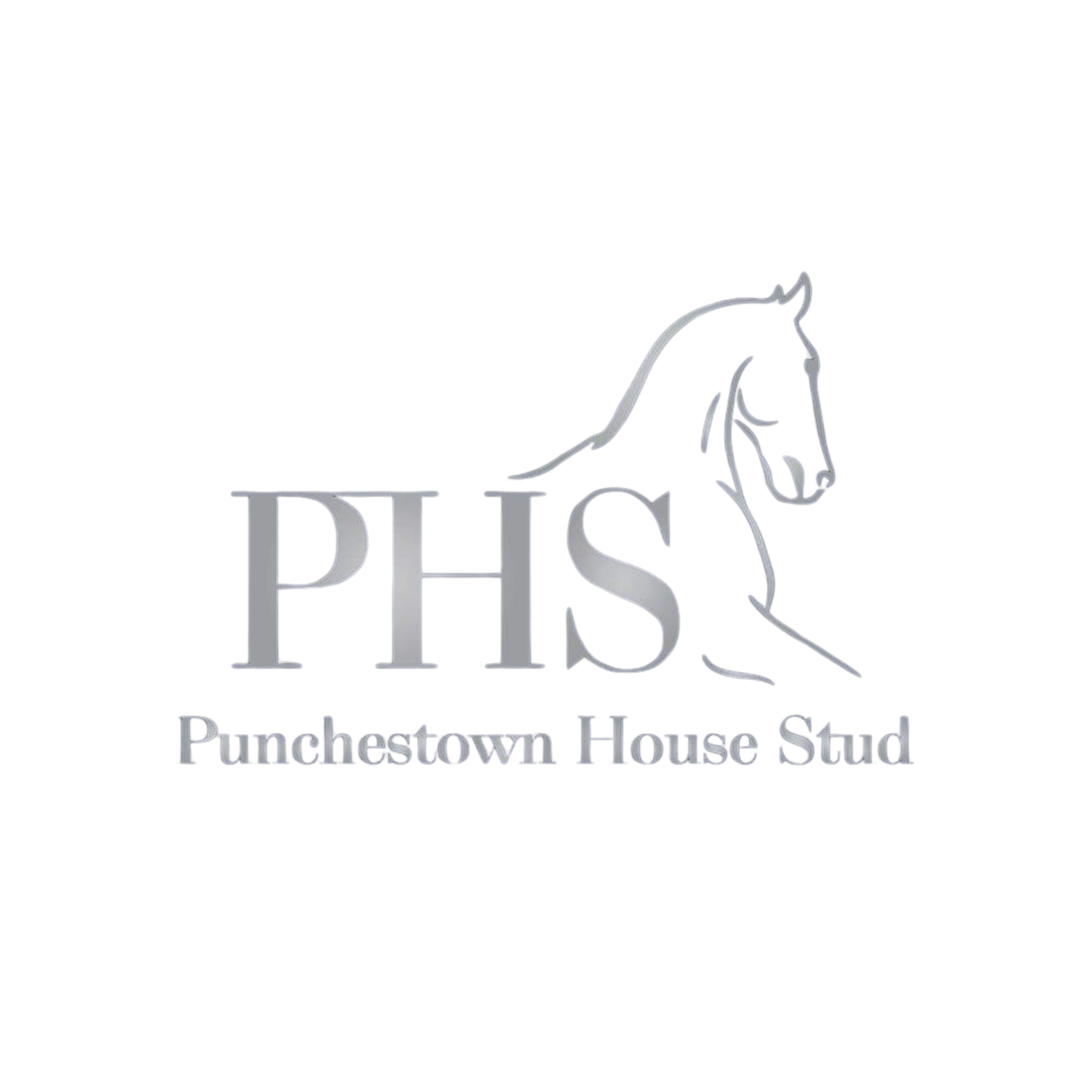 Punchestown House Stud